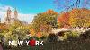 4k Nyc Autumn Walk Enjoy The Fall Foliage In Central Park On A Sunny Saturday Oct 28 2023