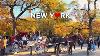 4k Nyc Walk Central Park Beautiful Fall Foliage U0026 Autumn Vibes Oct 29 2022