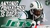 Breaking Antonio Cromartie Joining Ny Jets Coaching Staff For Fall Camp Bill Walsh Internship