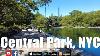 Central Park Virtual Run With Adam Nyc