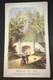 New York Central Park Circa 29 Lithographed Views In Quart 1870