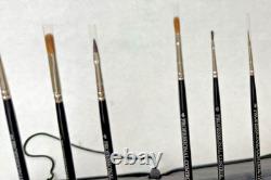 New York Central Professional Control Brush Set of of 10 in Case. SEE PHOTOS