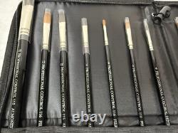 New York Central Professional Control Brush Set of of 10 in Case. SEE PHOTOS