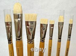 New York Central Professional Control Set of 10 Brushes in Case-UNUSED see pics