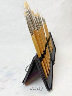 New York Central Professional Control Set of 10 Brushes in Case-UNUSED see pics