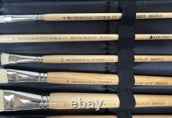 New York Central Professional Control Set of 10 Brushes in Case-UNUSED see pics