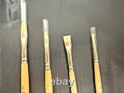 New York Central Professional Control Set of 10 Brushes in Case-UNUSED see pics