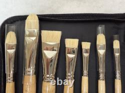 New York Central Professional Control Set of 10 Brushes in Case-UNUSED see pics