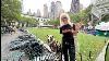 New York City Live Walking Bryant Park To Central Park On 6th Avenue In Manhattan W Hudson The Dog