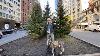 Nyc Live Walking 59th Street U0026 Central Park To Columbus Circle Christmas Market New York City