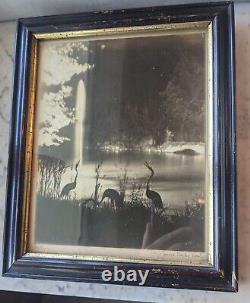 Original Jessie Tarbox Beals. NYC Photo Taken at Night. Central Park Fantasy