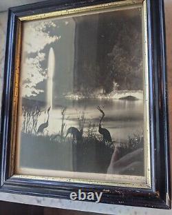 Original Jessie Tarbox Beals. NYC Photo Taken at Night. Central Park Fantasy