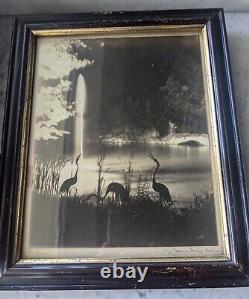 Original Jessie Tarbox Beals. NYC Photo Taken at Night. Central Park Fantasy