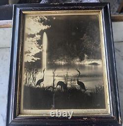 Original Jessie Tarbox Beals. NYC Photo Taken at Night. Central Park Fantasy