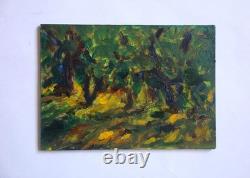 Original oil painting signed on board Trees in Central Park, New York