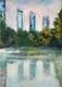 Paintings On Canvas Original Reflections In The Pond Central Park, New York