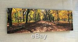 Peter Lik Central Park 1.5 Meter New York NYC Limited Edition #'d/950 with COA