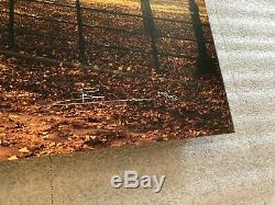 Peter Lik Central Park 1.5 Meter New York NYC Limited Edition #'d/950 with COA
