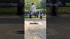 Skating Centralpark Newyork Rollerblading Rollerskating