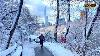 Walking In The Snow In Central Park Snowy New York City Snow Crunching Asmr Manhattan 2022