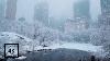 Chutes De Neige Dans Central Park New York Marchant Dans Central Park Dans La Neige D’hiver