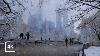 Journée De La Neige Parfaite Dans Central Park New York City Walking Tour 2022