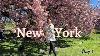 Nouvelle Journée à New York : Central Park, 5ème Avenue, Musée Et Restaurant Russe