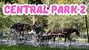 Visite à Pied De Central Park 2 à New York City - Voyage à New York - Voyages à New York